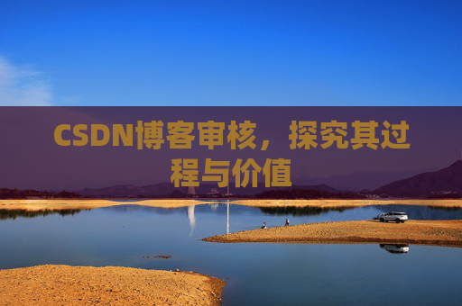CSDN博客审核,探究其过程与价值