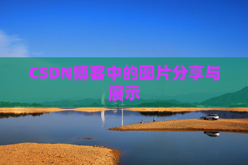 CSDN博客中的图片分享与展示